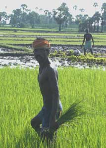 Visiting the Untouchables of India 7 untouchables