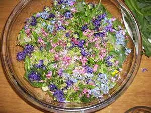 Eating the French Countryside 1 A salad made of wild plants from the French countryside - photos by Michelle Rogers