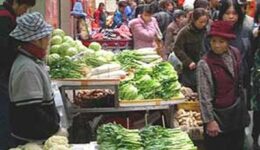 macau market