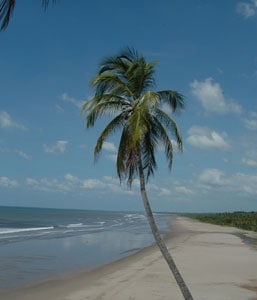 The gorgeous stretch of Pacific beach at the resort Barcelo Montelimar. Photos by Barb Sprangers