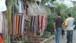 nica-hammocks