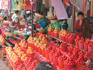 Fruit vendor in the market at San Cristobal - photo by Chris Bracken