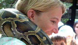 sonysnake