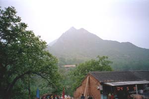 The view from Yao Zi Yu 