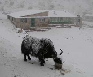 Hiking to the Base of Mt. Everest 6 A blizzard in Dingboche