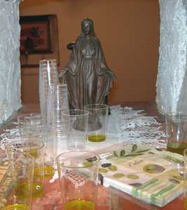 An olive oil tasting in Istria