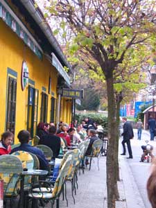 Cutty Sark Pub: Ljubljana's cafe society speaks fluent English; note the pub sign. Photo by Christine H. O'Tool