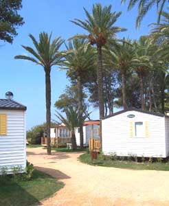 The modern bungalows at Las Palmeras
