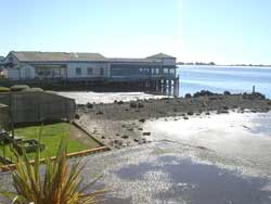 Where the Russian River Meets the Redwoods 4 Bodega Bay. photo by Max Hartshorne