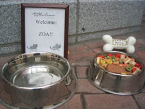 Some hotels, like the Hotel Marlowe in Cambridge, Massachusetts, offer all kinds of amenities for visiting pets dog-friendly hotels.