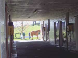 Lexington, Kentucky: Bourbon, Betting & Breeding 3 Clairborne Farm