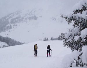 Snowshoeing in the Alps is like being in another world.