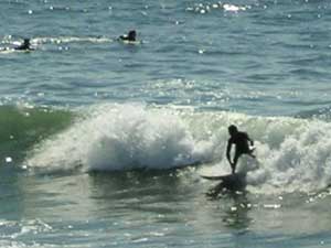 Surfers at Oceanside