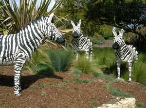 Legoland zebras