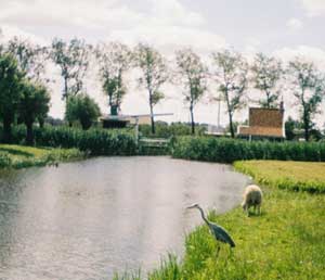 A Netherlands Bike and Boat Adventure 9 Sights along the way
