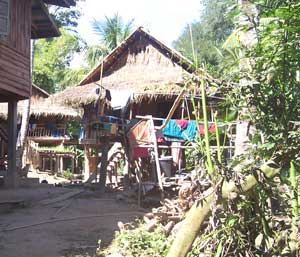 Hmong village house
