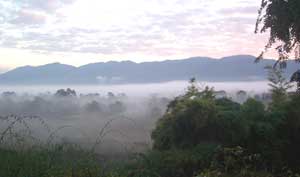 A mist-enshrouded valley in Thailand’s Golden Triangle near the Laos border