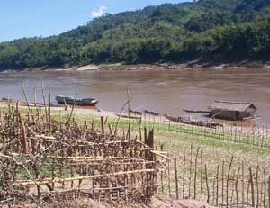 Peanuts are grown along the sandy riverfront