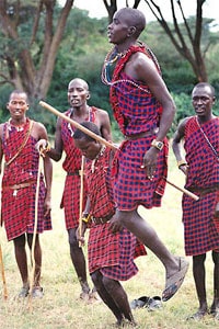 Maasai warrior jumping--to impress girls.