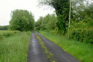 We biked mainly on country roads like this one.