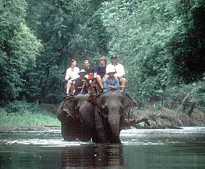 Riding elephants in Thailand