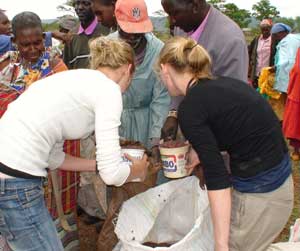 Volunteering in Kenya: From the Safari to the Relief Station 4 Volunteers distribute food.