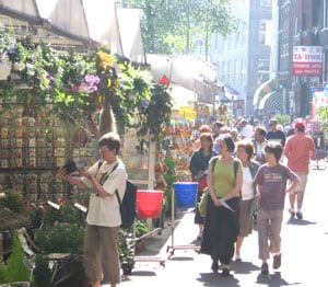 Flower market in Amsterdam. photo by Shady Hartshorne.