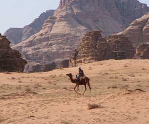 The harsh climate of the desert is one reason for the Bedouins' tradtition of hospitality.
