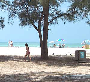 Florida's Gulf Islands: An Old-Fashioned Family Vacation 3 Coquina