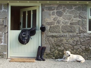 Preserving Dartmoor's Manmade Wilderness 4 At Holwell Farm you can arrange to explore the moor on horseback.