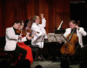 A performance of Strings in the Mountains