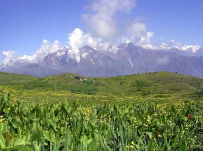 India: A Trek Through the Kuari Pass 15 View, day two