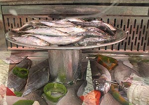 Sardines fresh from the sea