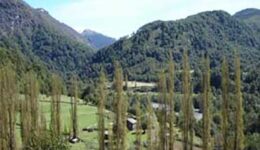 argentina-patagonia