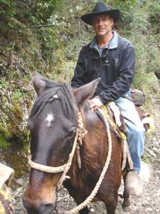 Men belong on horseback