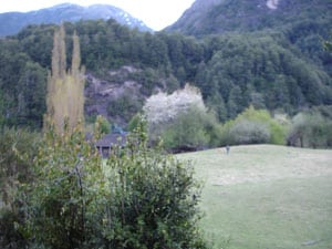 Patagonian meadow
