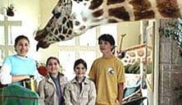 Children with a giraffe in Kenya, Africa.