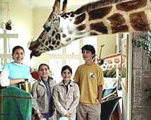 Children with a giraffe in Kenya, Africa.