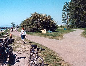 The Riverside Dog Park