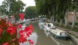 Flowers along the Canal du Midi, in southern France. Kent St. John photo.