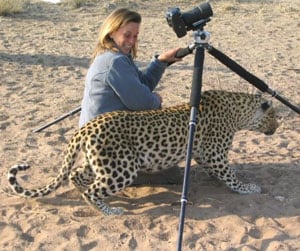 Noah's Ark in the Desert of Namibia 5 A friendly leopard
