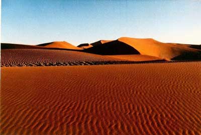 Namibia's Harnas Wildlife Sanctuary 4 Dunes