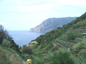 Mountain scene in Cinque Terre.
