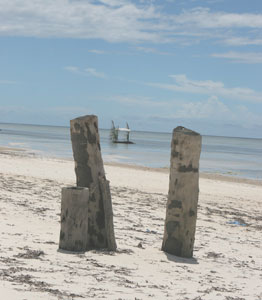 Zanzibar: A Magical Blend of Arabia and Africa 4 A beach on Zanzibar's east coast