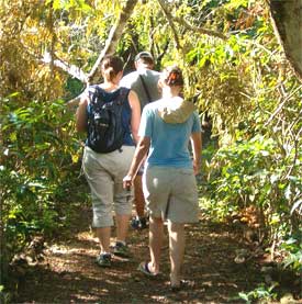 Three Komodo snacks (Mike, Heather, and Mona) meander up the path on Komodo Island.