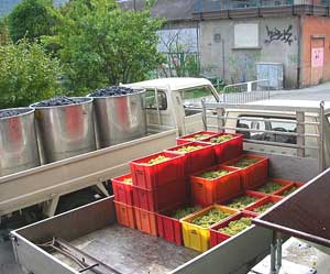 Switzerland: Hiking in the Land of Sky 9 The Provins Valais winemaking cooperative buys from 5,000 growers in the Rhone valley of Switzerland.