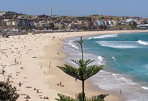 Bondi Beach
