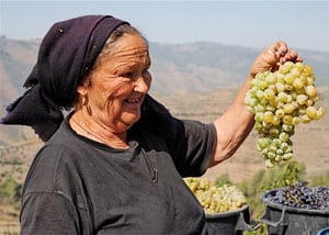 A woman offers grapes to passersby in the Douro River Valley.