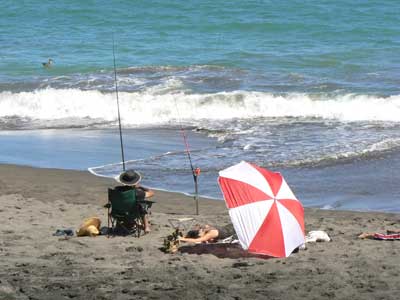 Enjoying a day at the beach, near New Plymouth. 