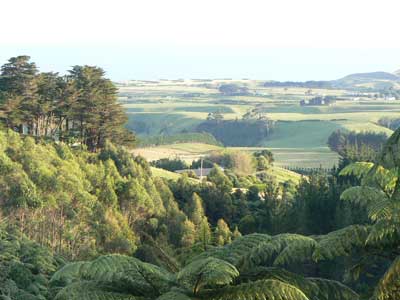 View from the veranda at the Kaitake Lodge, in Oakura. 
